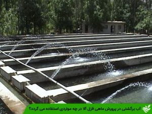 آب برگشتی در پرورش ماهی قزل آلا در چه مواردی استفاده می گردد؟