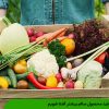 با تولید محصول سالم بیشتر آشنا شویم