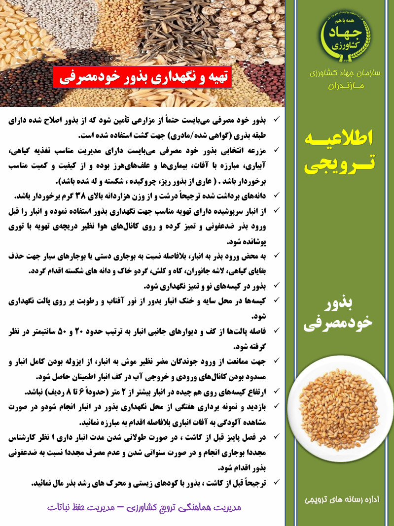 راهنمای تهیه و نگهداری بذور خودمصرفی