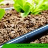 سیستم آبیاری موضعی با استفاده از نوار تیپ