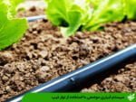 سیستم آبیاری موضعی با استفاده از نوار تیپ