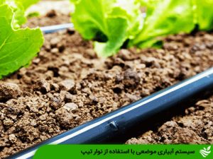 سیستم آبیاری موضعی با استفاده از نوار تیپ