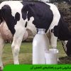 بار میکروبی شیر و راهکارهای کاهش آن