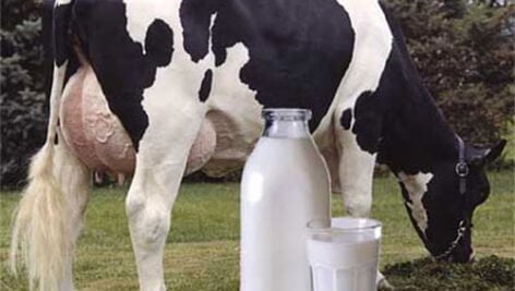 بار میکروبی شیر و راهکارهای کاهش آن
