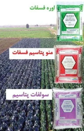 کودهای پر نیاز در کشاورزی
