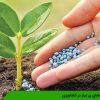 کودهای پر نیاز در کشاورزی
