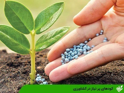کودهای پر نیاز در کشاورزی