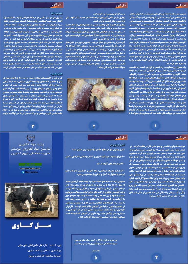 بروشورهای آموزشی بیماری‌های دام