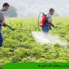 تاثیر آب بر عملکرد آفت کش ها