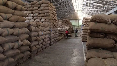 نگهداری بذور غلات در انبار و مبارزه با آفات انباری