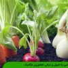 آشنایی با اصول و مبانی کشاورزی ارگانیک