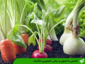 آشنایی با اصول و مبانی کشاورزی ارگانیک