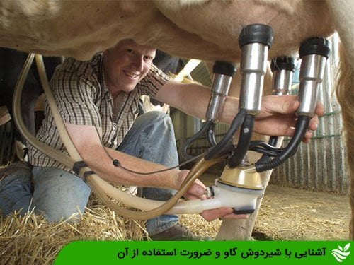 آشنایی با شیردوش گاو و ضرورت استفاده از آن