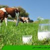 عوامل موثر بر کیفیت شیر