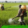 اصول و نکات ایمنی استفاده از سموم در کشاورزی