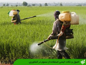 اصول و نکات ایمنی استفاده از سموم در کشاورزی