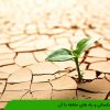 خشکسالی و راه های مقابله با آن