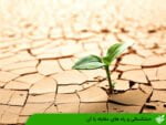 خشکسالی و راه های مقابله با آن