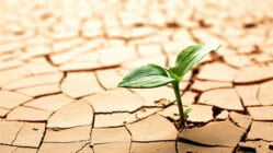 خشکسالی و راه های مقابله با آن