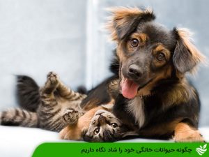 چگونه حیوانات خانگی خود را شاد نگاه داریم
