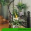 تقسیم بندی گیاهان آپارتمانی