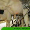 شناخت و کاربرد ماشین های شیردوشی