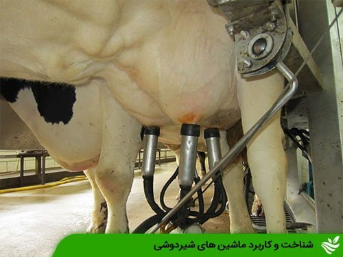 شناخت و کاربرد ماشین های شیردوشی