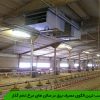 مناسب ترین الگوی مصرف برق در سالن های مرغ تخم گذار