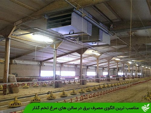 مناسب ترین الگوی مصرف برق در سالن های مرغ تخم گذار