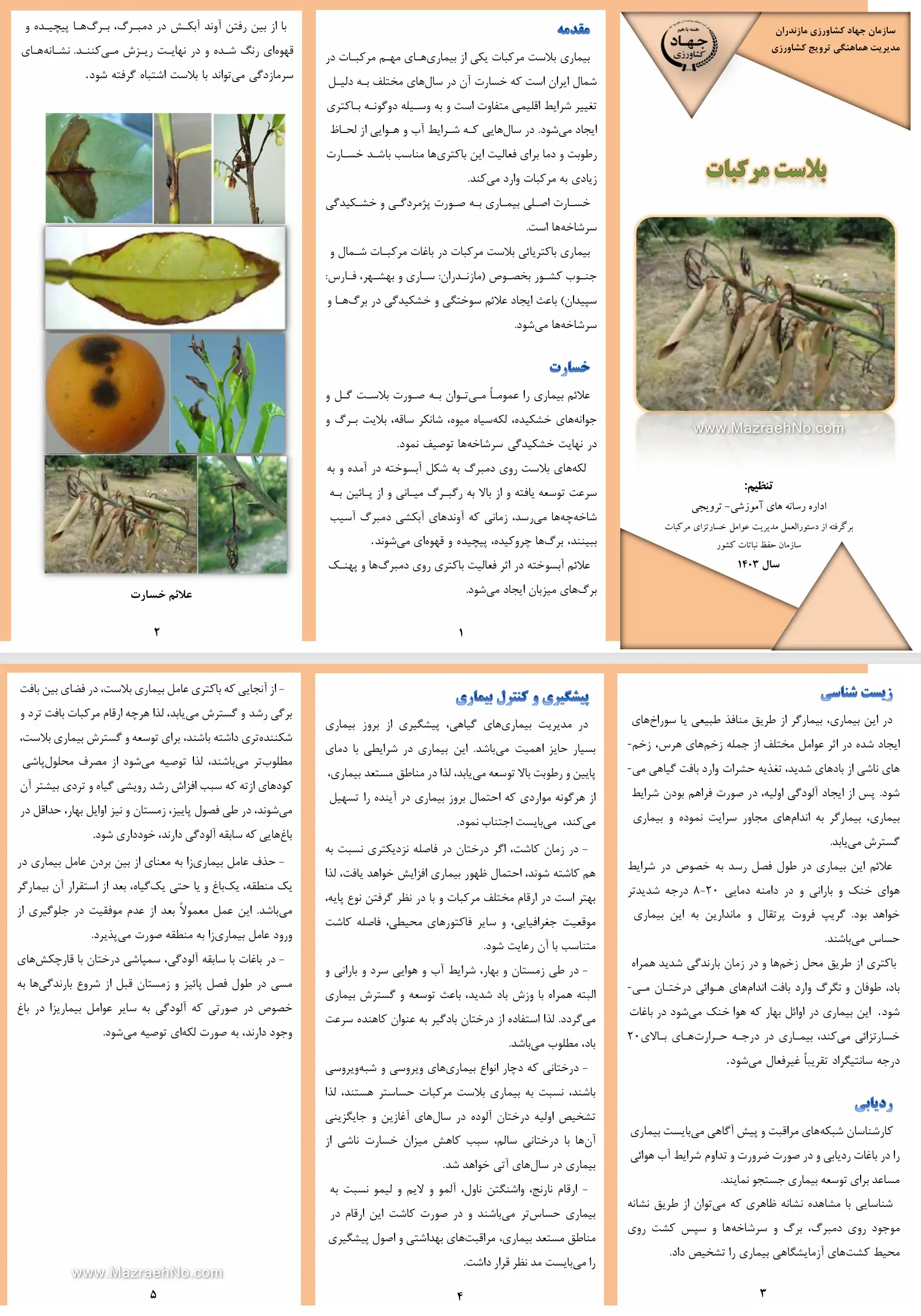 بیماری بلاست مرکبات