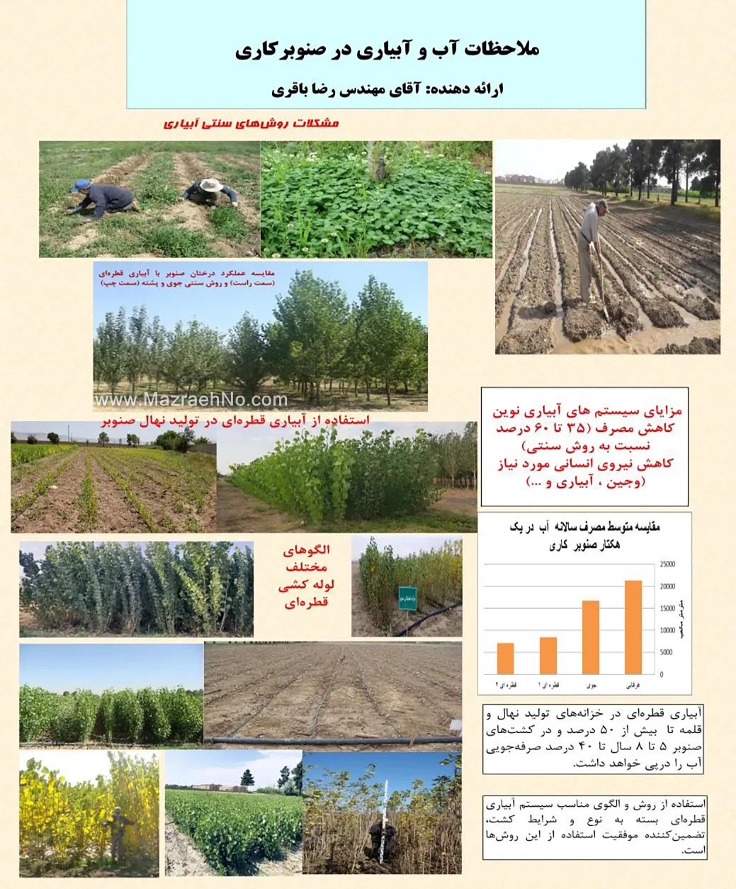 ملاحظات آب و آبیاری در صنوبرکاری