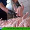 چرا نباید گوشت مرغ کشتار شده غیر مجاز مصرف شود؟