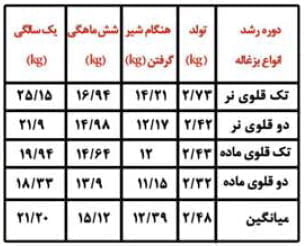 جدول افزایش وزن و سرعت رشد از تولد تا یک سالگی