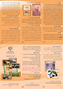 بیماری تب دره ریفت