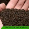 تعیین رطوبت خاک راهی موثر در افزایش راندمان آبیاری