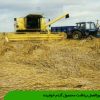 دستورالعمل برداشت محصول گندم خوابیده