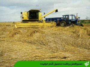 دستورالعمل برداشت محصول گندم خوابیده