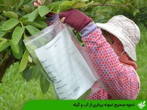 نحوه صحیح نمونه برداری از آب و گیاه
