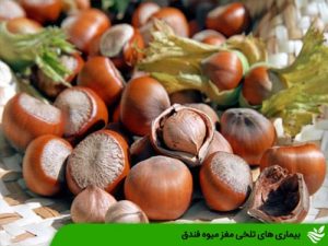 بیماری های تلخی مغز میوه فندق