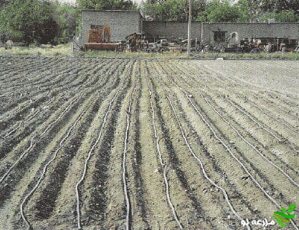 راهکارهای صرفه جویی آب در زراعت چغندرقند