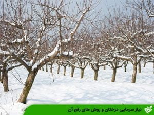 نیاز سرمایی درختان و روش های رفع آن