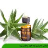 گیاه شناسی تا فرآوری گیاه آلوئه ورا (صبر زرد)