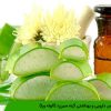 خواص دارویی آلوئه ورا