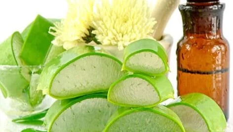 خواص دارویی آلوئه ورا
