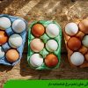 ویژگی های تخم مرغ شناسنامه دار