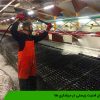 اصول امنیت زیستی در مرغداری ها