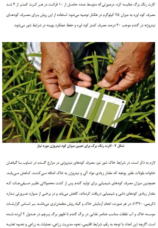 دستورالعمل فنی بهبود تولید گندم در شرایط خاک شور صفحه 7