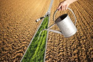 اهمیت آب و مصرف بهینه آن در بخش کشاورزی