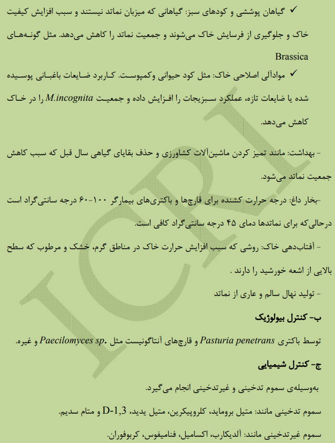 نماتد ریشه گرهی کیوی فروت صفحه 6