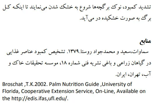 تشخیص علایم ظاهری کمبود عناصر غذایی در نخل خرما صفحه 8